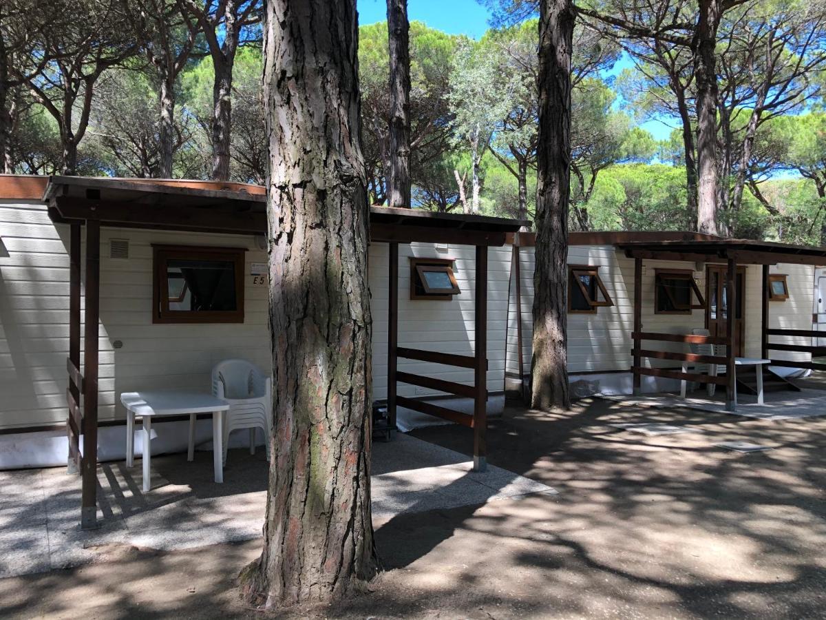 Buona Mobile Homes On Camping Mare E Pineta Лидо-ди-Спина Экстерьер фото